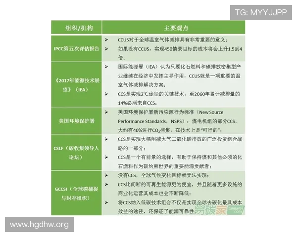 1xt bet投注平台全面评估:风险防范与使用技巧详解 1xt bet投注平台全面评估:风险防范与使用技巧详解